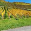 2017_10_14_saisonabschluss_10 